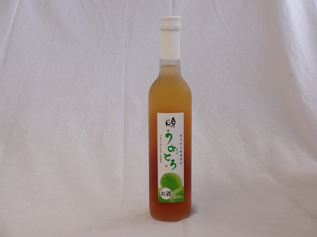 完熟梅の味わいと日本酒のうまみをたっぷりの梅リキュール うめとろ 500ml